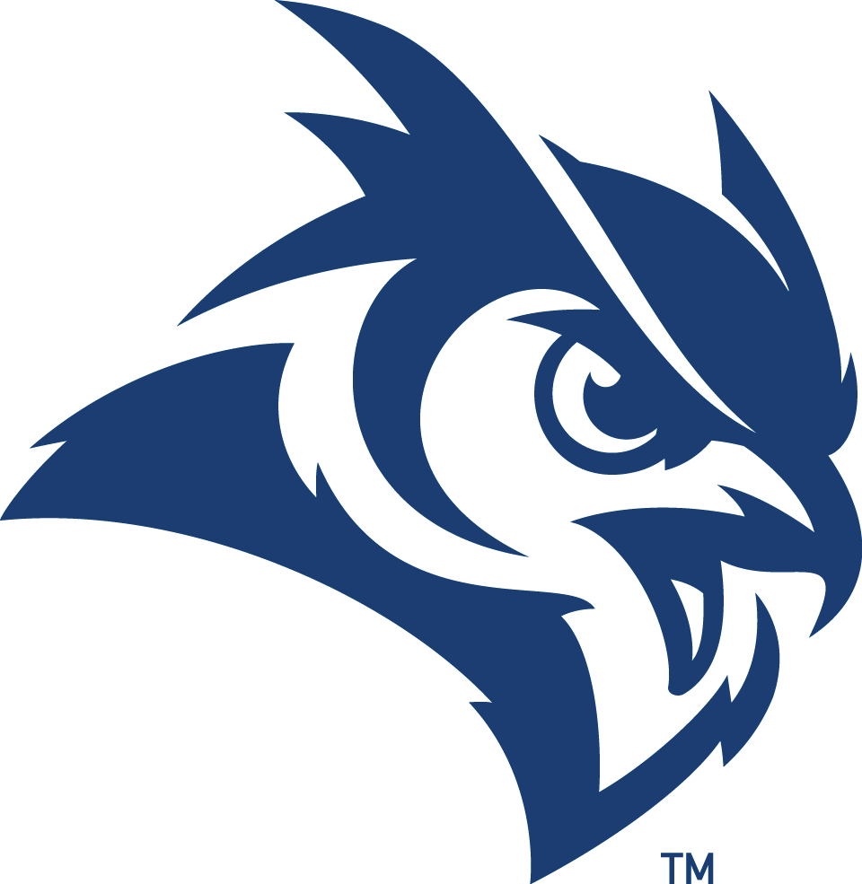 Rice Owls 2017-Pres Secondary Logo t shirts iron on transfers